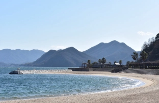 Sunami 須波